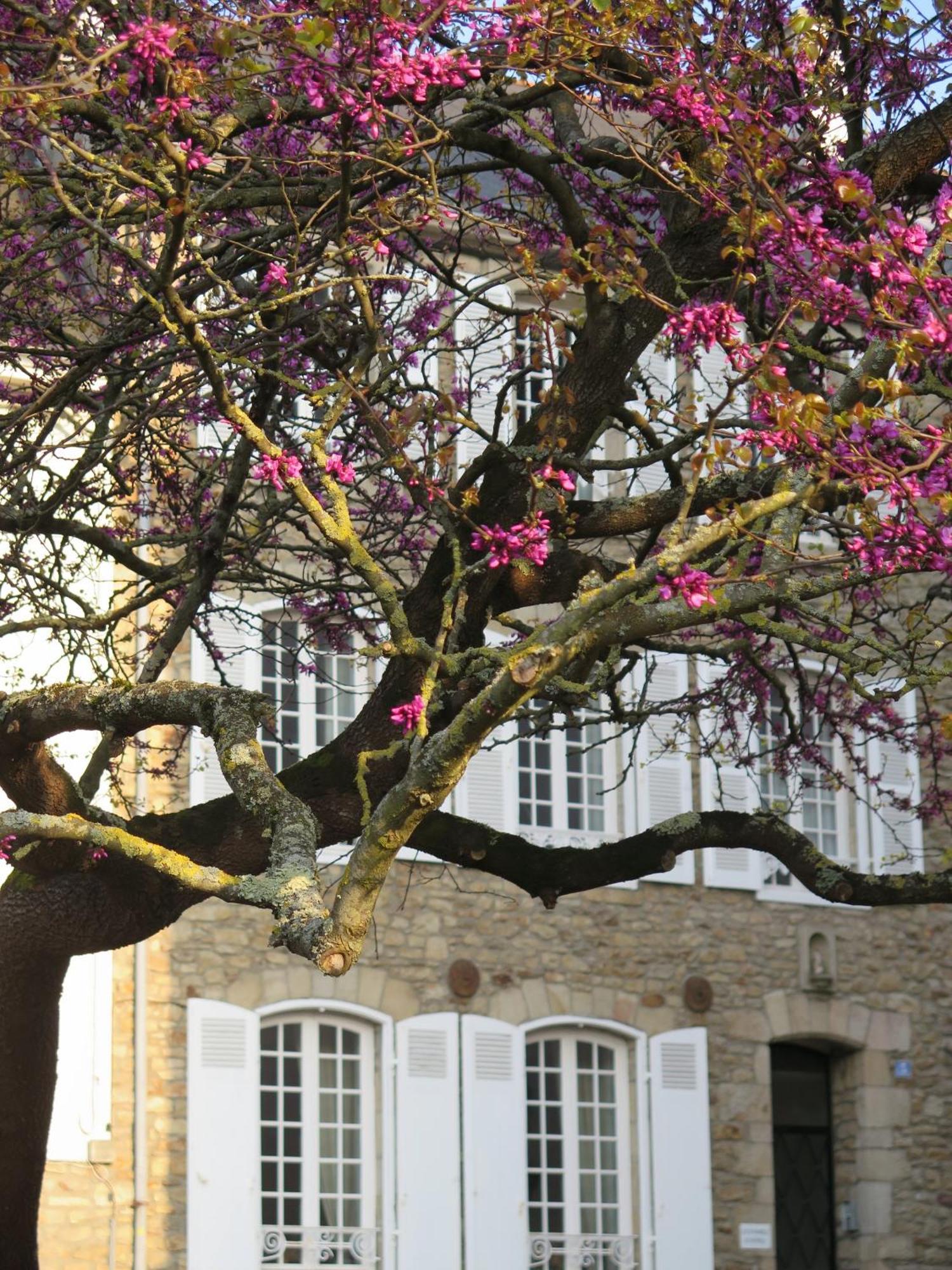 ואנה La Villa Garenne מראה חיצוני תמונה